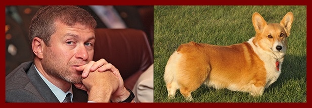 Roman Abramovich and Corgi dog